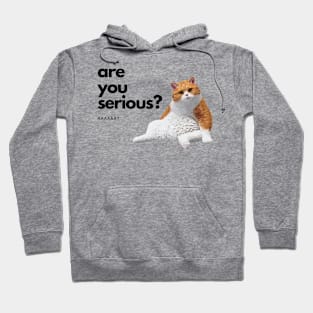 Cute cat Confused Hoodie